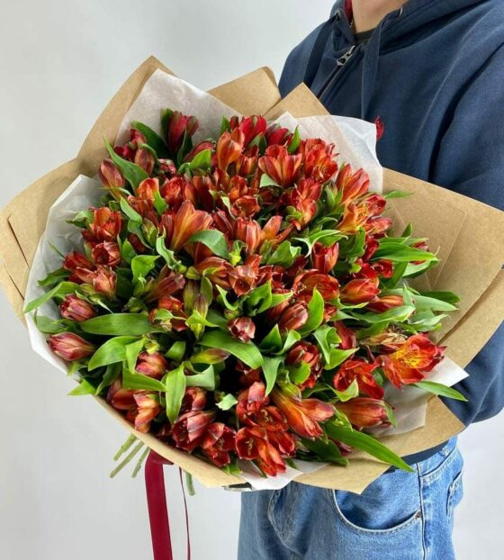 25 красных альстромерий